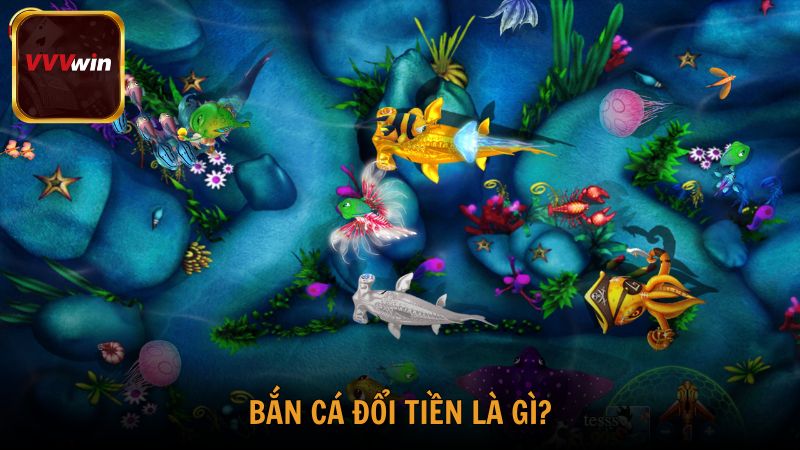 Tất cả thông tin bắn cá đổi tiền