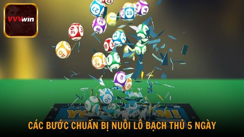 Các bước chuẩn bị trước khi nuôi lô bạch thủ 5 ngày