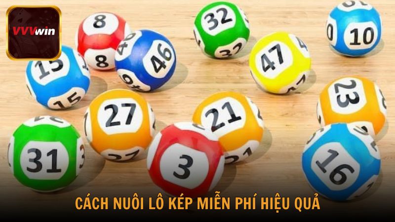 Tìm hiểu cách nuôi lô kép miễn phí hiệu quả