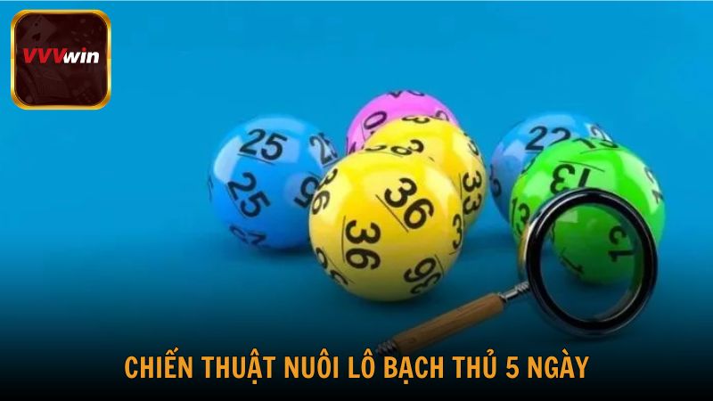 Chiến thuật nuôi lô bạch thủ 5 ngày hiệu quả từ cao thủ VVVwin