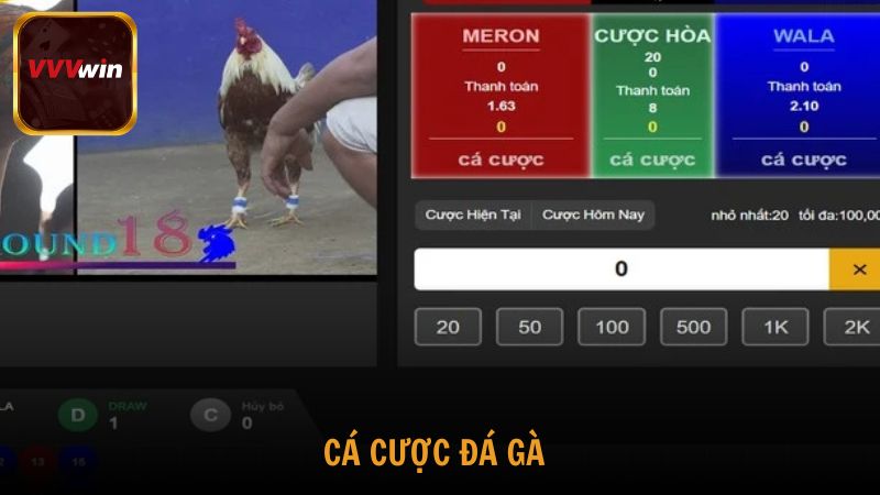 Cá cược Đá gà
