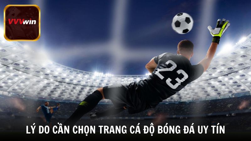 Lý do cần chọn trang cá độ bóng đá uy tín