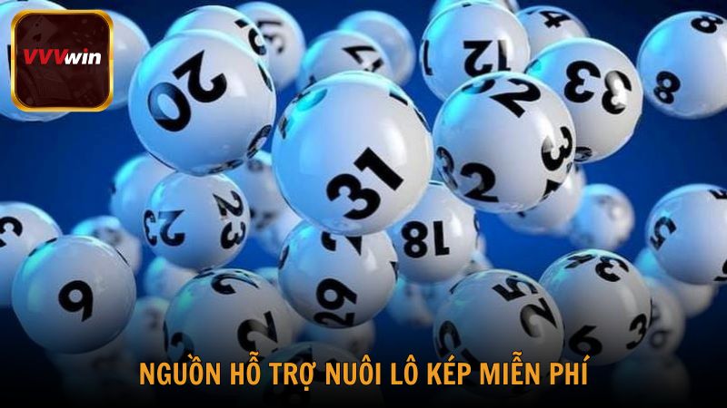 Nguồn hỗ trợ nuôi lô kép miễn phí dành cho người mới