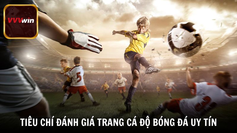 Tiêu chí đánh giá một trang cá độ bóng đá uy tín